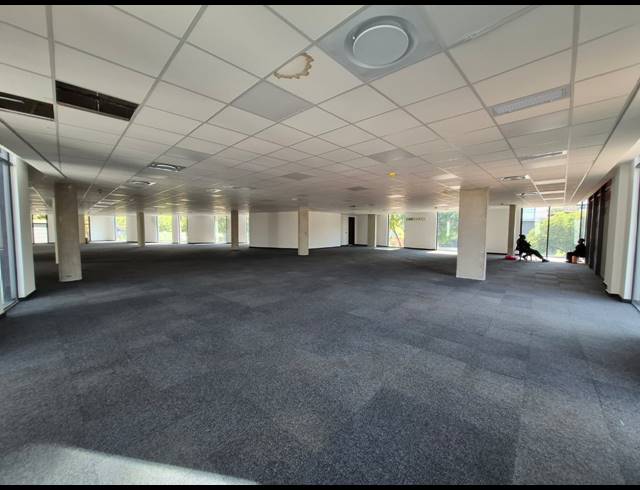 1,600M² OFFICE TO LET IN SANDTON CENTRAL